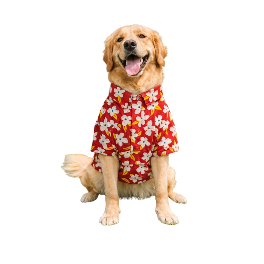 Furrfab Floral Print Shirt for Dogs